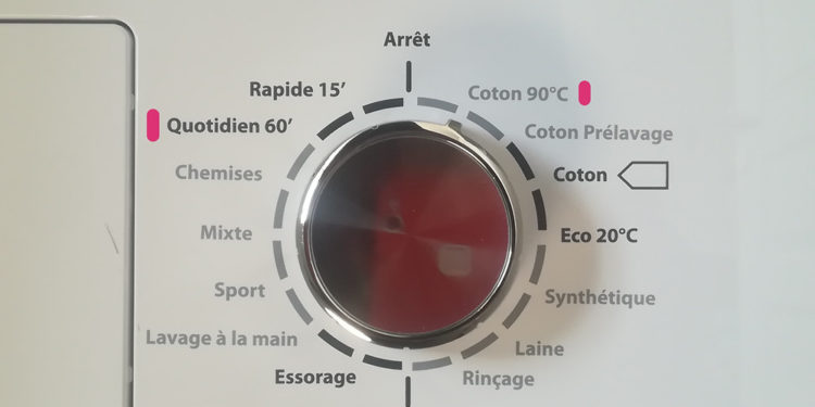 Quel savon utiliser pour laver un cochon d'Inde ?