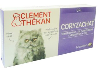 Quel antibiotique pour soigner le coryza du chat ?