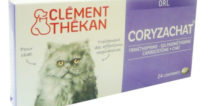 antibiotique pour le coryza du chat