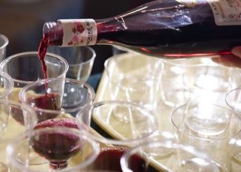 Quel goût a le silure ?