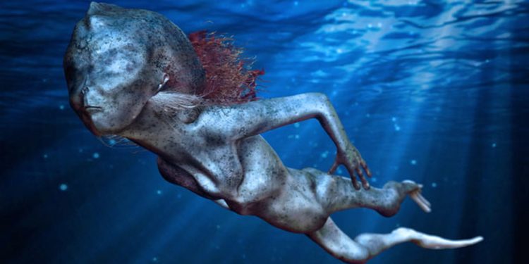 Quel animal respire sous l'eau ?
