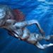 Quel animal respire sous l'eau ?