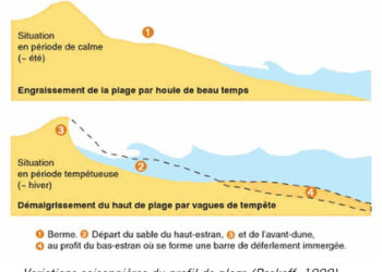 Qui a T-IL en dessous du sable ?