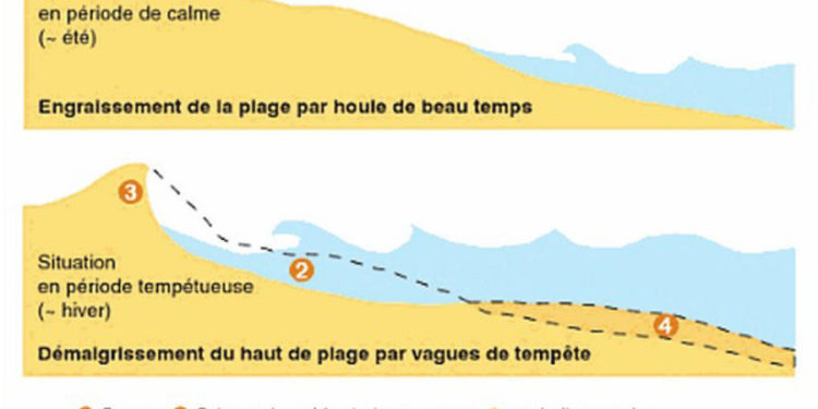 Qui a T-IL en dessous du sable ?