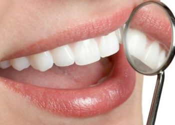 Comment éviter le tartre sur les dents du chat ?