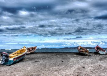 Quand est la saison des têtard ?