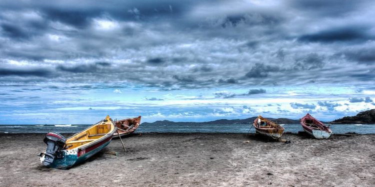 Quand est la saison des têtard ?