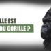 Quelle est la force d'un gorille ?