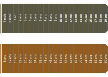 Quel âge a un chat de 4 mois ?