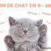 Quel nom pour les chats en 2020 ?