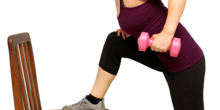 Comment muscler le dos d'un chien ?