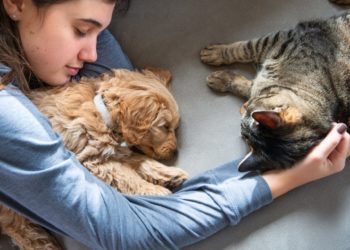Quels sont les risques de dormir avec un chat ?