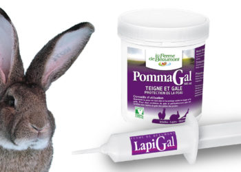 Quel produit pour la gale des oreilles ?