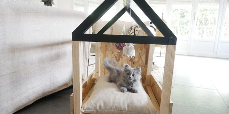 Comment construire un tunnel pour chat ?