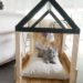 Comment construire un tunnel pour chat ?