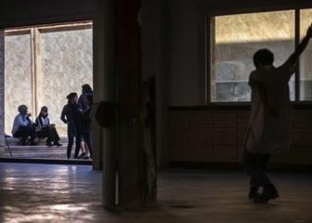 Comment nourrir le bétail ?