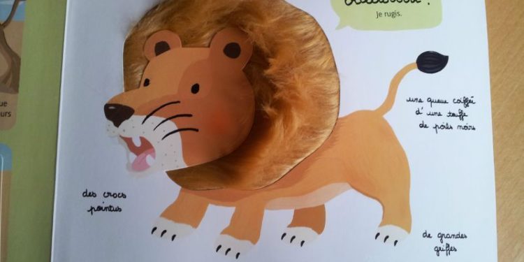 Quand on peut toucher les bébé lapin ?