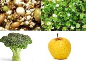 Quel vitamine pour canari ?