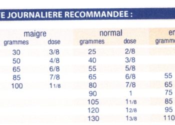 Quelle quantité de nourriture pour un chaton de 2 mois ?