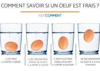 Comment sont les ouistiti ?