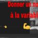 Comment donner un nom à une tortue ?