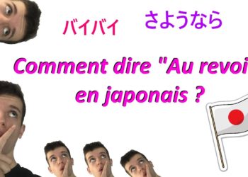 Comment dire coccinelle en japonais ?