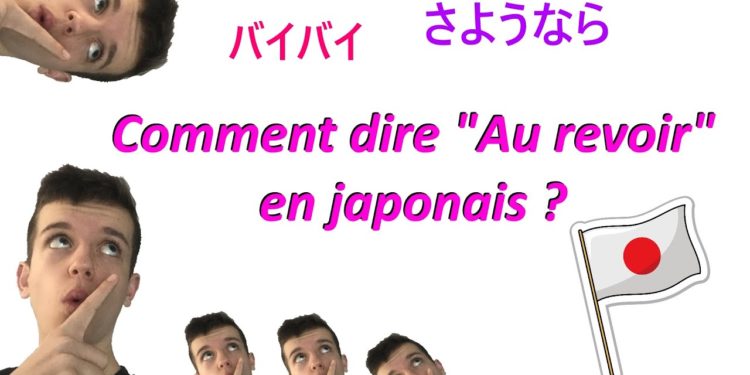 Comment dire coccinelle en japonais ?