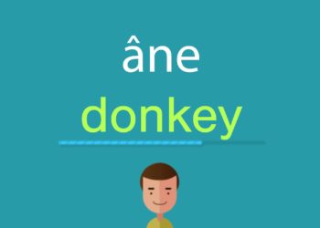 Comment on dit âne en anglais ?