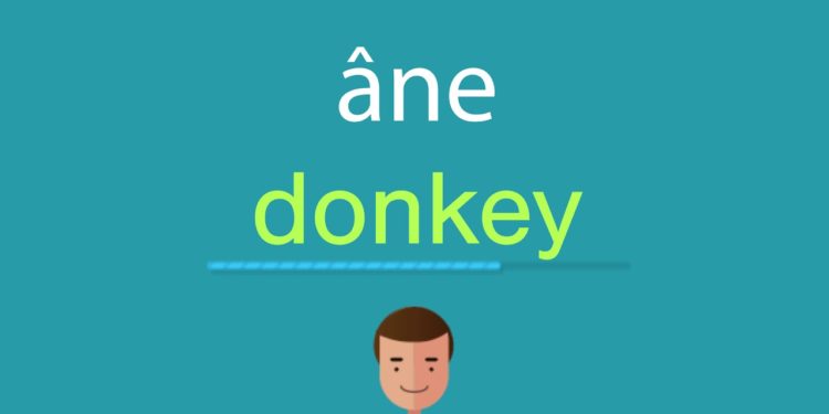 Comment on dit âne en anglais ?