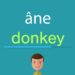 Comment on dit âne en anglais ?