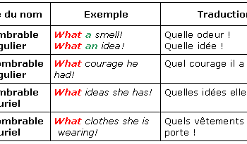 Quel est le pluriel de fruit en anglais ?