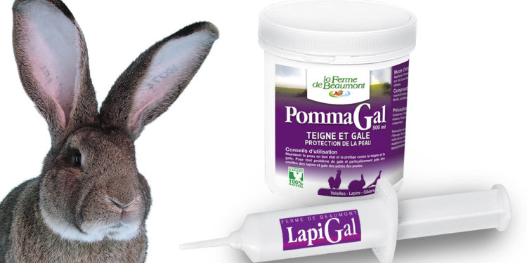 Quel produit pour la gale des oreilles ?