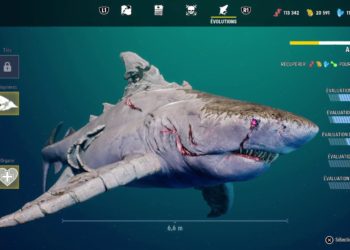 Comment on devient albinos ?