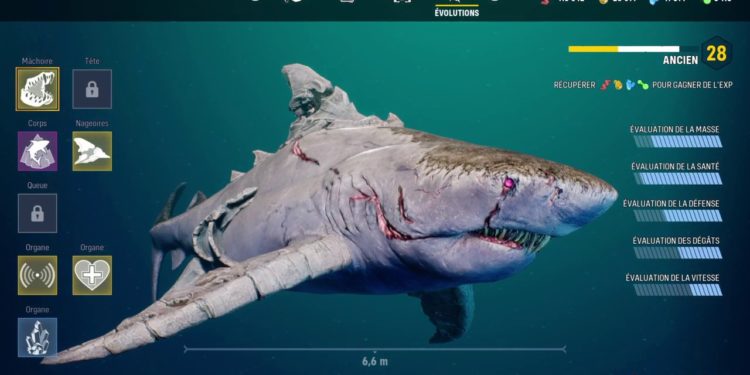 Comment on devient albinos ?