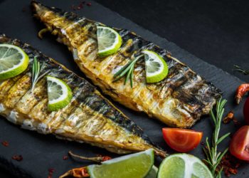 Comment faire pour attirer les poisson ?