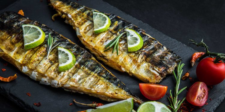 Comment faire pour attirer les poisson ?