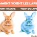 Est-ce que les lapins voient en couleur ?