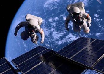 Quels sont les gestes à adopter pour réduire les espèces invasives ?