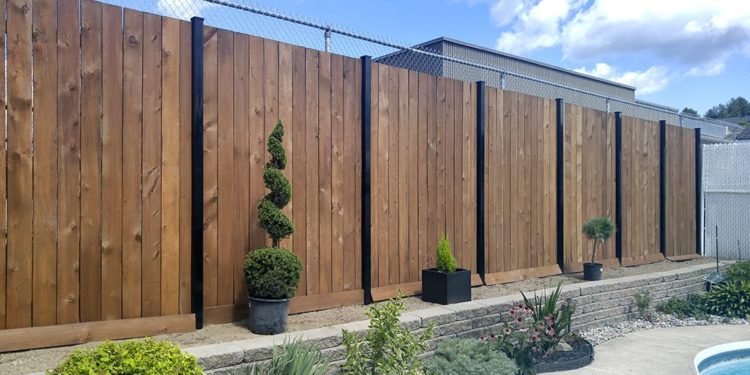 Quelle hauteur de clôture pour des chèvres ?