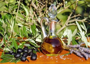 Puis-je donner de l'huile d'olive à mon chien ?