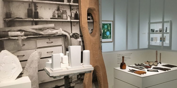 Où se trouve la langue de chat dans le bœuf ?