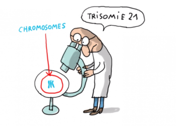 C'est quoi la trisomie ?