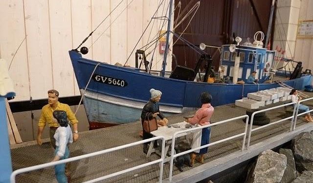 Quel perroquet pour un débutant ?