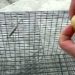 Comment attirer les rats taupier ?