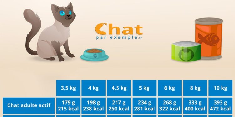 Comment savoir l'âge d'un axolotl ?