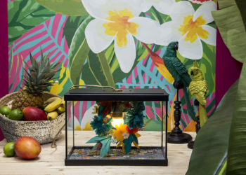 Comment recycler un gros aquarium ?