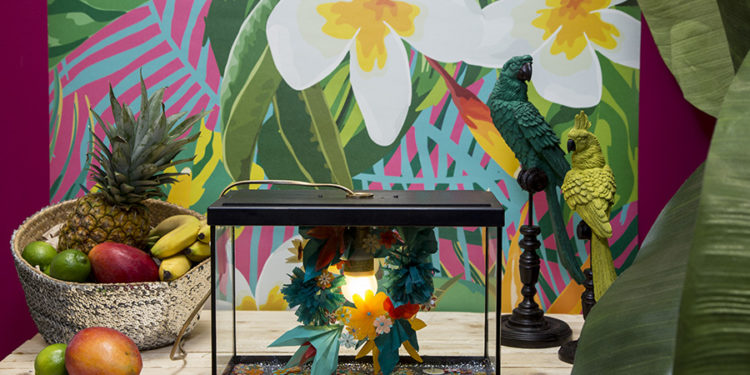 Comment recycler un gros aquarium ?