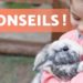 Comment gagner la confiance d'un lapin ?