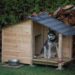 Comment construire une niche pour chien en carton ?