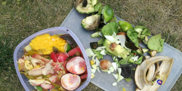 Qu'est-ce que les mouches aiment manger ?